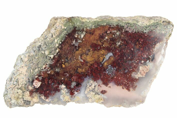 Polished Colorful Plume Agate Slab - Java, Indonesia #271484